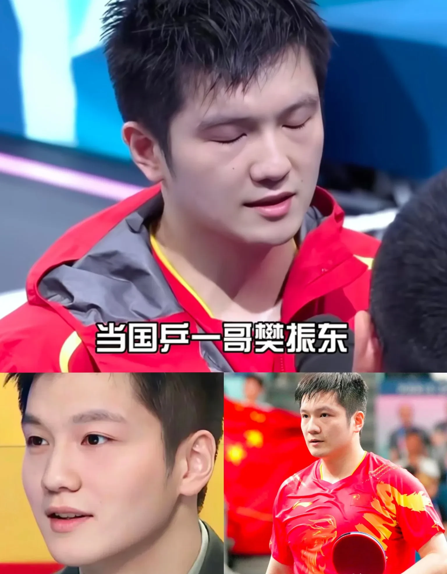 包含中国乒乓球队力克比利时乒乓球队，樊振东完成帽子戏法的词条