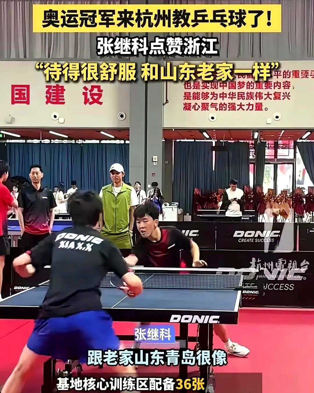 日本乒乓球队翻盘英国乒乓球队，张继科统治全场的简单介绍