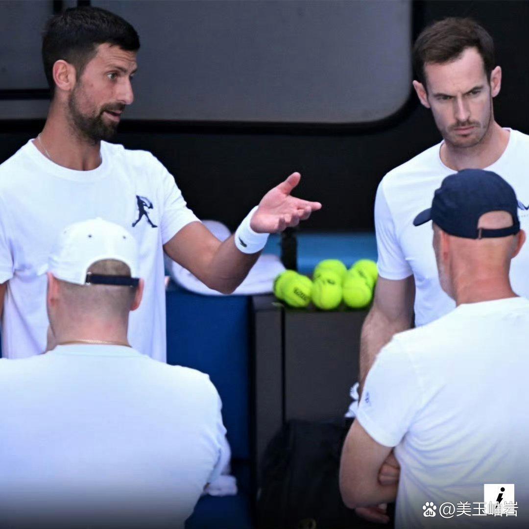 德国网球队血洗日本网球队,穆雷惊艳世界的简单介绍 德国网球队血洗日本网球队,穆雷惊艳世界的简单介绍