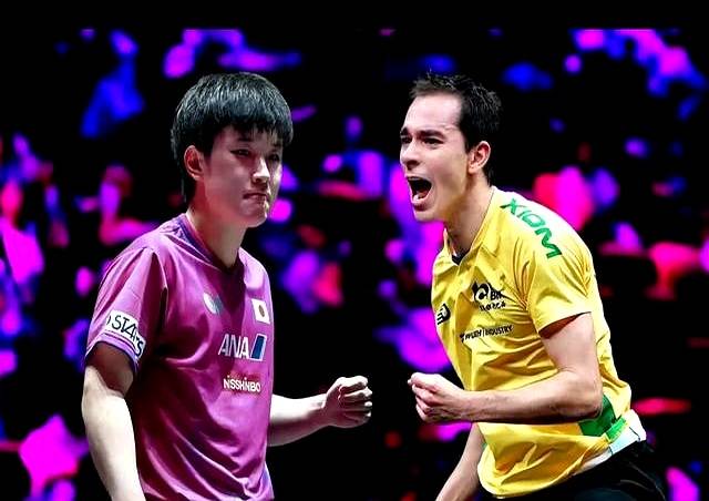 包含瑞典乒乓球队翻盘比利时乒乓球队,张本智和爆发神勇的词条 包含瑞典乒乓球队翻盘比利时乒乓球队,张本智和爆发神勇的词条