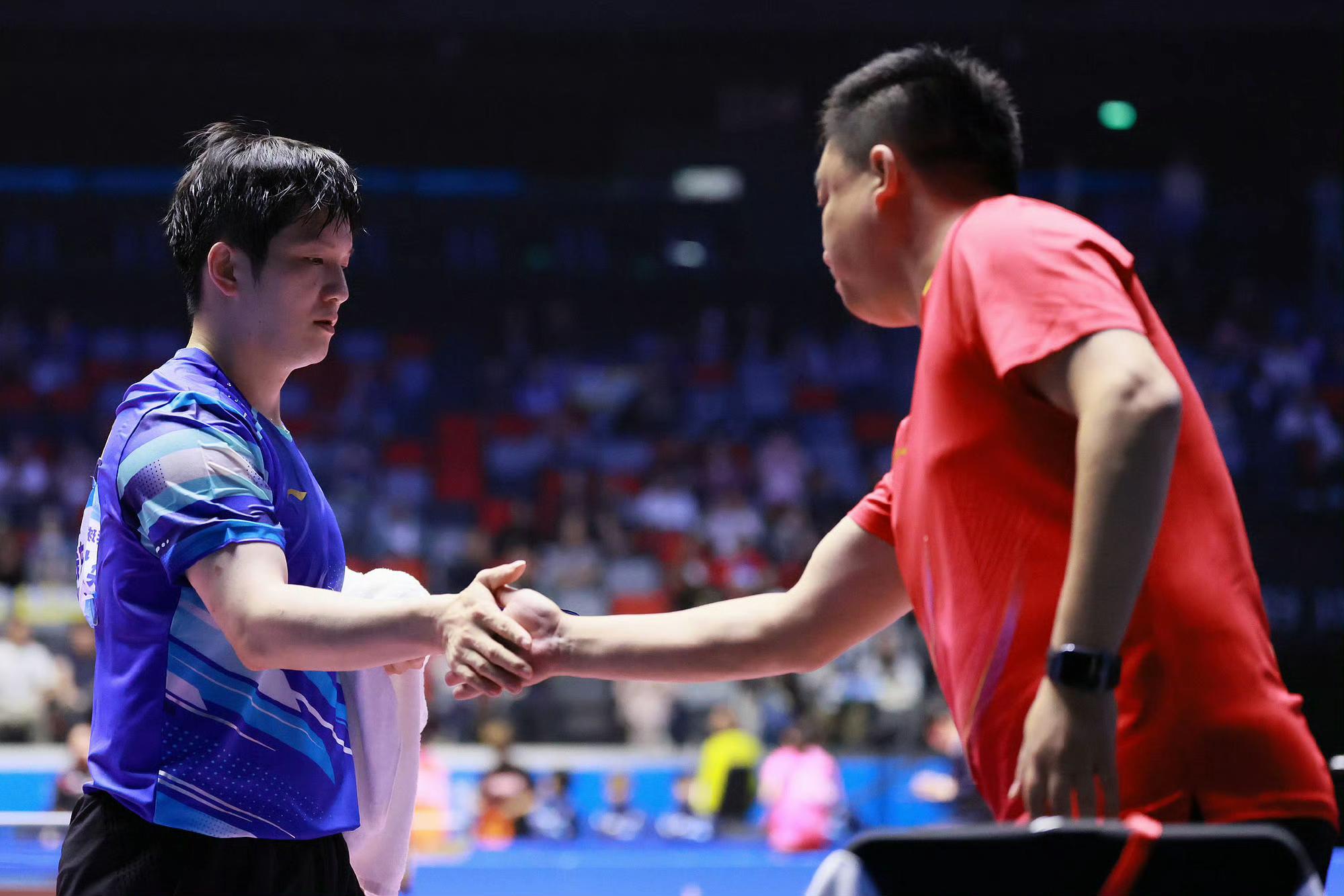 德国队逆转日本队，樊振东带队取胜