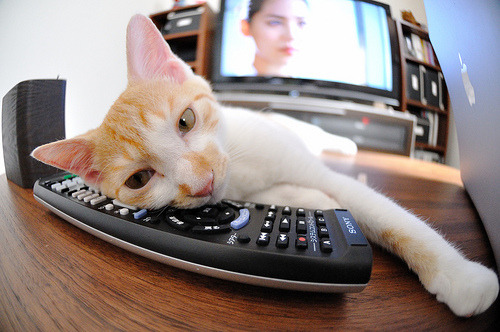 数据背后的统治者,范弗利特如何引领鹈鹕力克独行侠