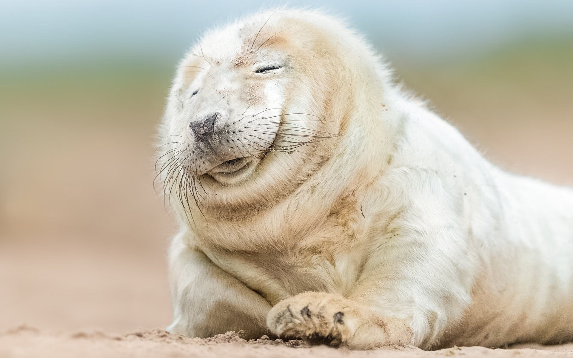 当佛罗伦萨征服奥地利,久保建英在决赛夜的东方魔法