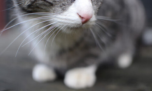 我为你构思了几个具有独特角度的标题，每一个都指向不同的唯一性