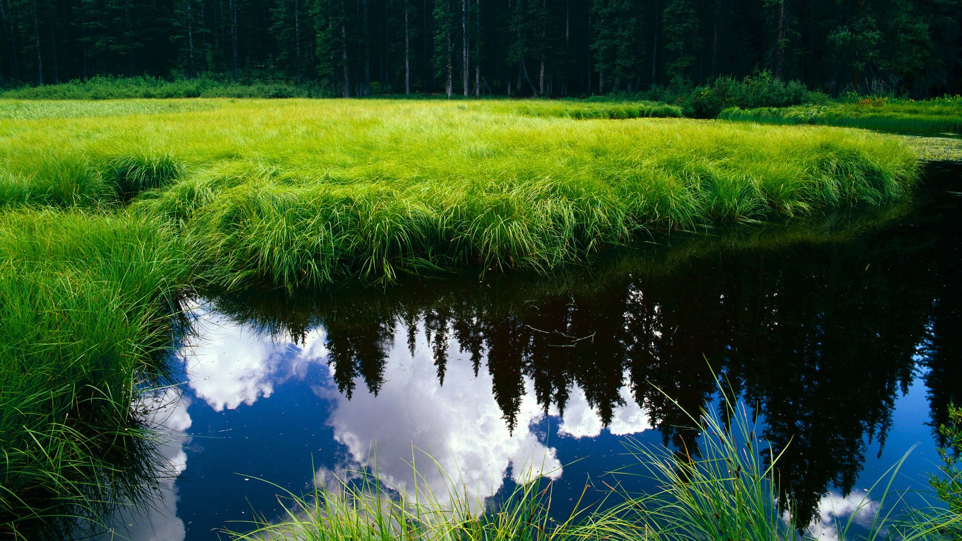 跨越时空的篮焰,当马克西爆发点燃开拓者与上海的巅峰对决