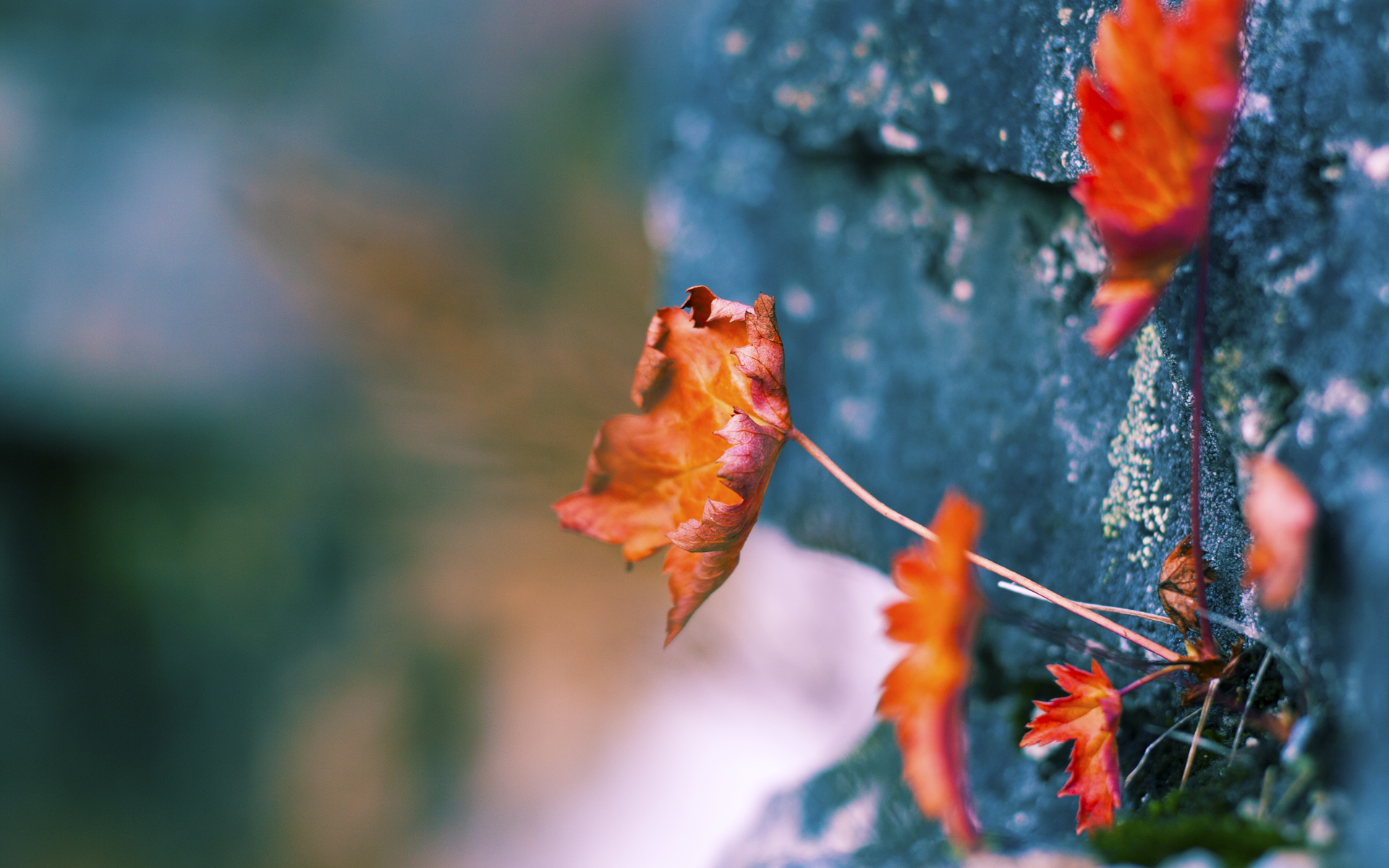 韩风与铁骑,黄喜灿惊艳伯纳乌,皇马掀翻西班牙的战术革命