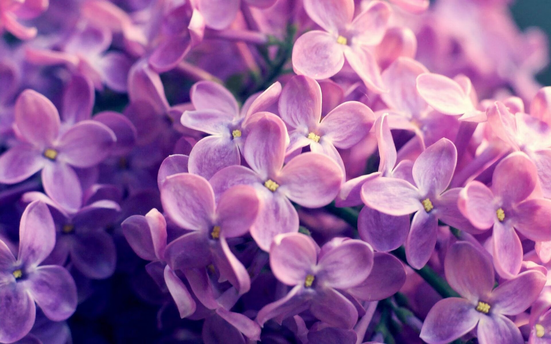 篮球全球秀，湖人惊天翻盘吉林，欧文西甲德比独揽胜局