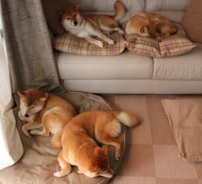 魔术之夜,哈登跨界降维打击,率队淘汰山西的奇幻启示录