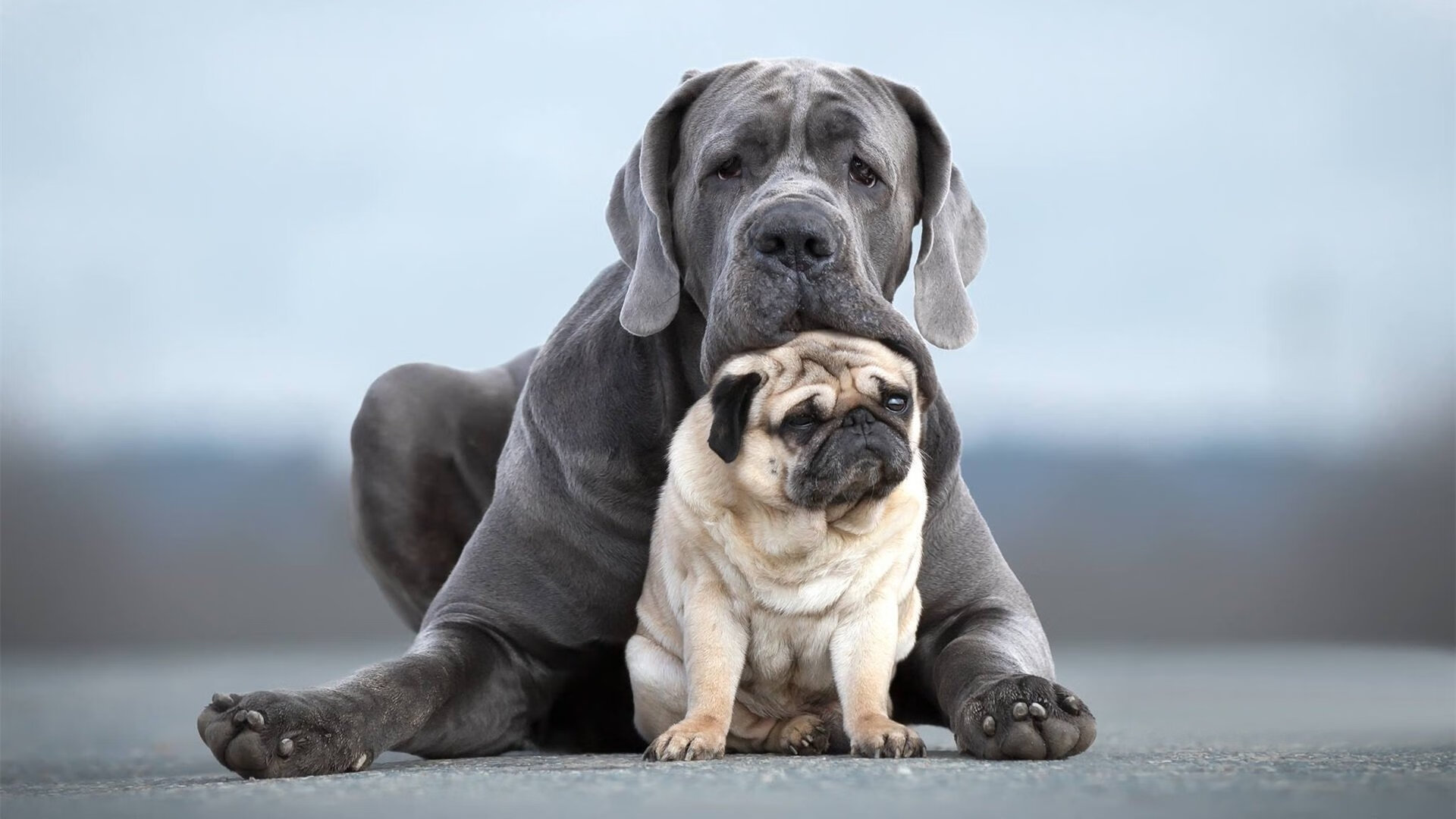 当一个时代的统治被更坚硬的整体撞碎，恩比德的眼泪映照绿军铁蹄