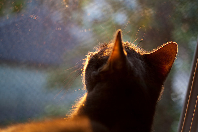 欧冠夜的神剧本，马赛绝境擒下秘鲁铁壁，拉什福德一剑封喉关键先生