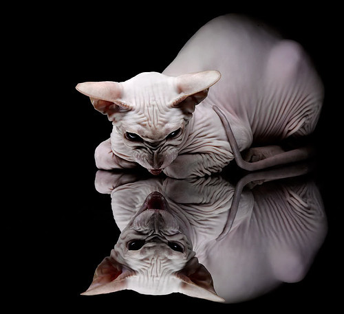 平行时空的交锋，NBA总决赛勇士火力全开，跨洋压制新疆飞虎