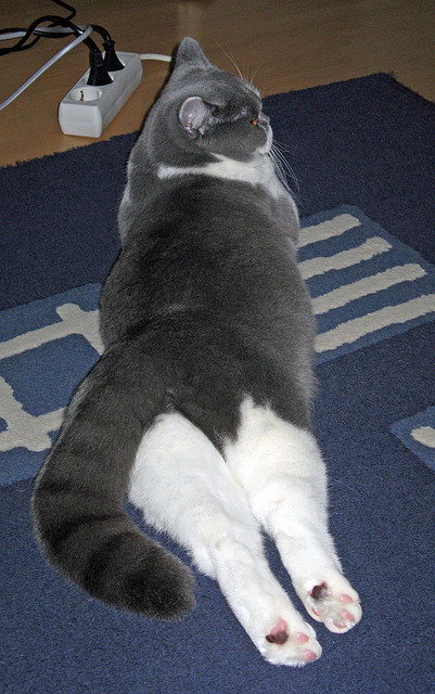 当桑巴舞步对上金属风暴,足球魅力的两个极致维度