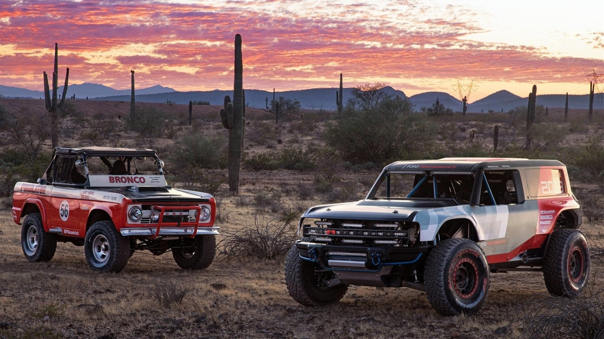 银箭与王冠，圣保罗雨战中的新王加冕礼