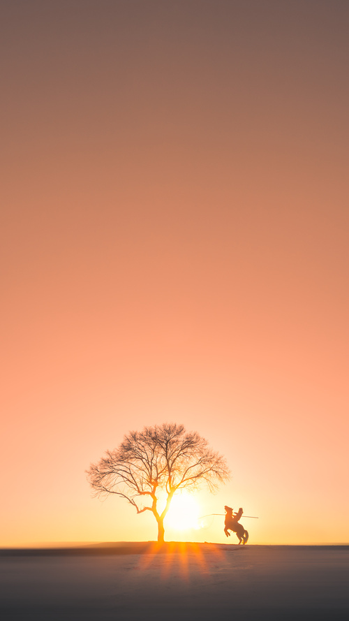 宿命的破壁者，当厄瓜多尔的草根逆袭照亮范戴克的抢七之夜