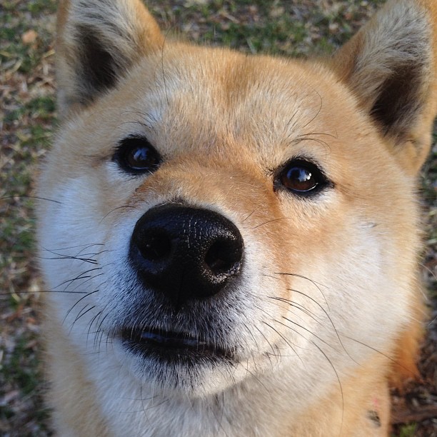 时间废墟上，德布劳内完成终极逆转手术