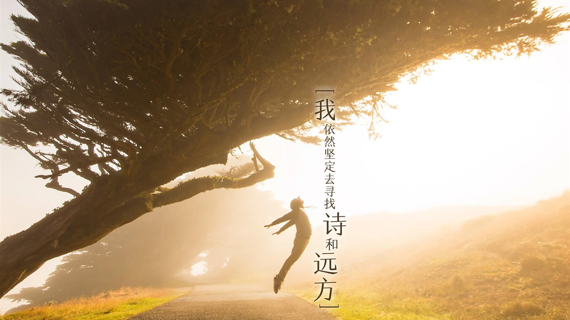 2026世界杯E组强强对话，波兰绝杀加纳，京多安用大师级表现定义唯一性