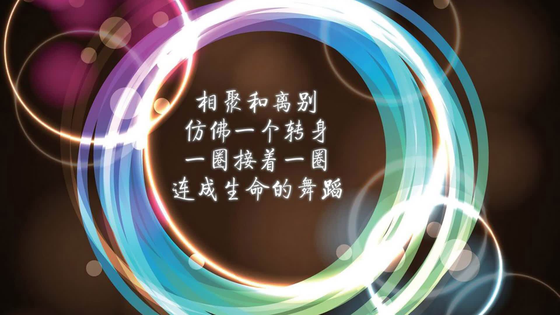 沙漠之鹰坠落，齐耶赫的绝杀，与哥斯达黎加永不熄灭的足球魂