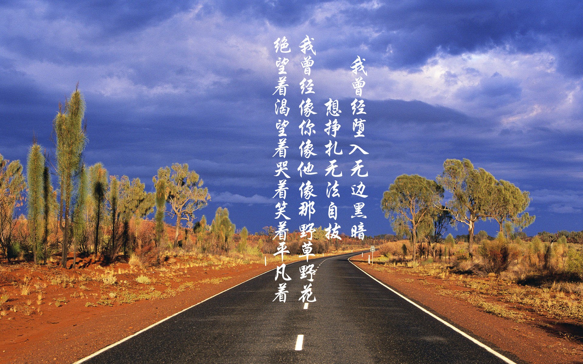魔幻布达佩斯之夜，阿诺德铁幕战术撕裂非洲雄狮，匈牙利书写2026世界杯最冷血复仇