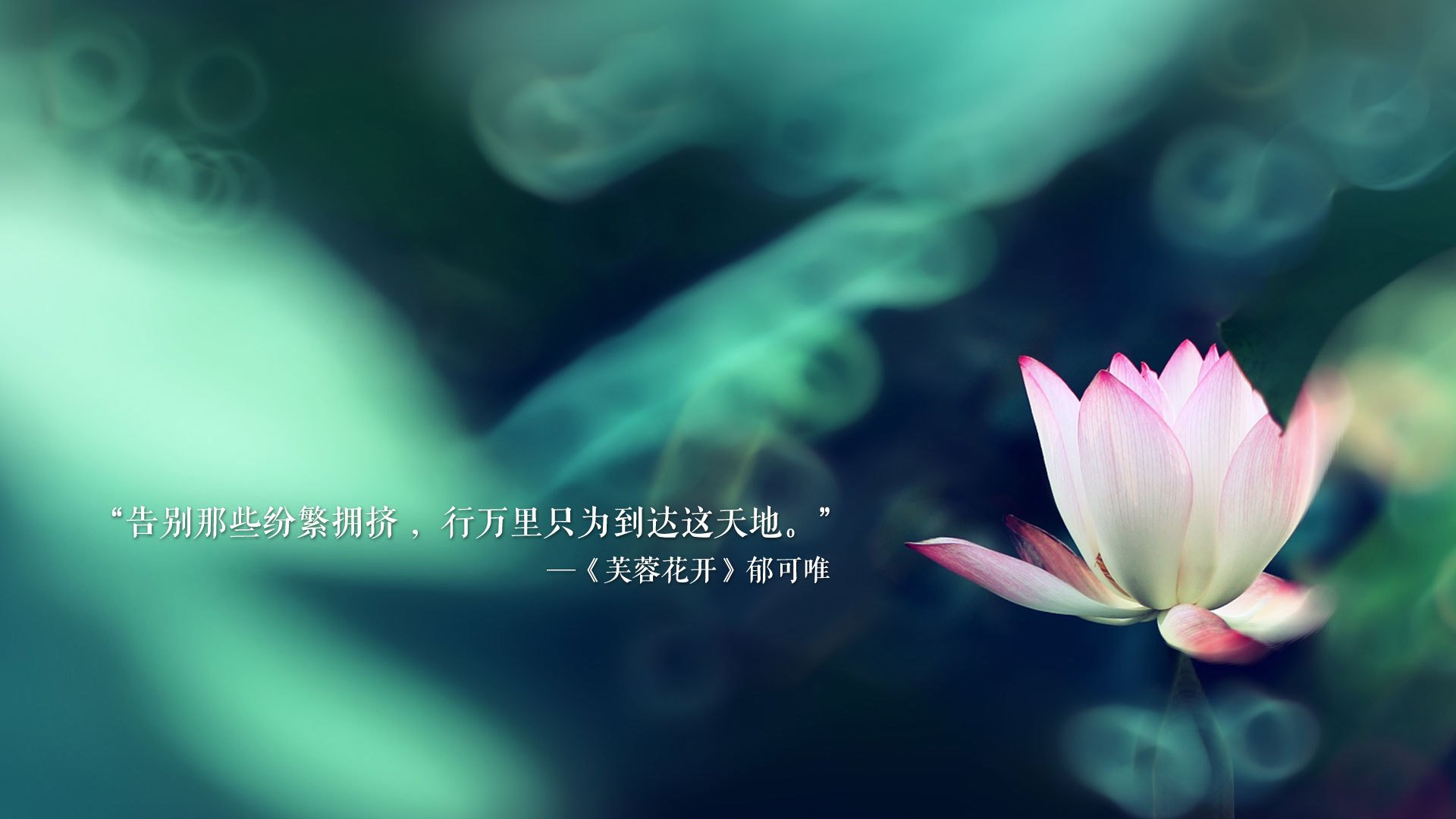唯一之局，德容的沉默独白与B组那场被遗忘的平衡游戏