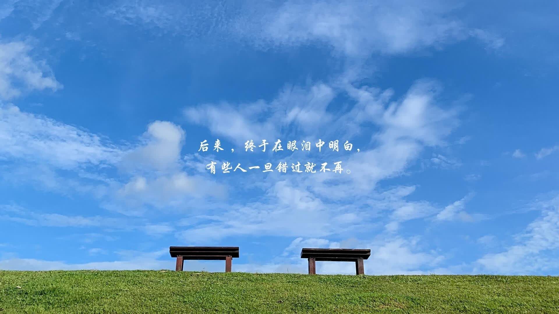 橙衣郁金香凋零之夜，登贝莱的利刃，洞穿布加勒斯特的钢铁防线
